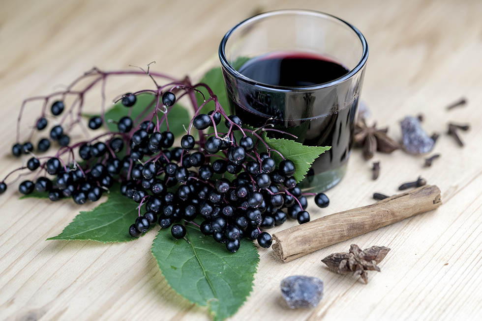 Top antiviral benefits of elderberry