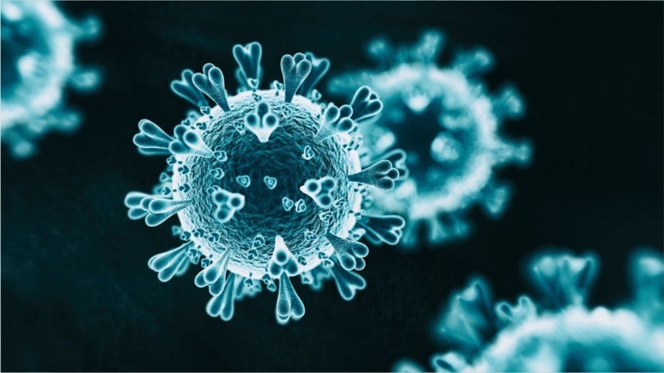 Vitamin D and the coronavirus pandemic: Should you take it?