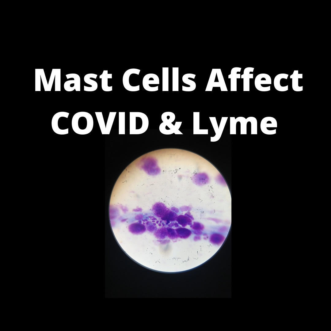 LYME SCI: Do long COVID and long Lyme both activate mast cells?